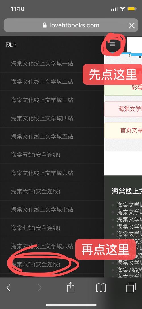 龙马网站入口海棠