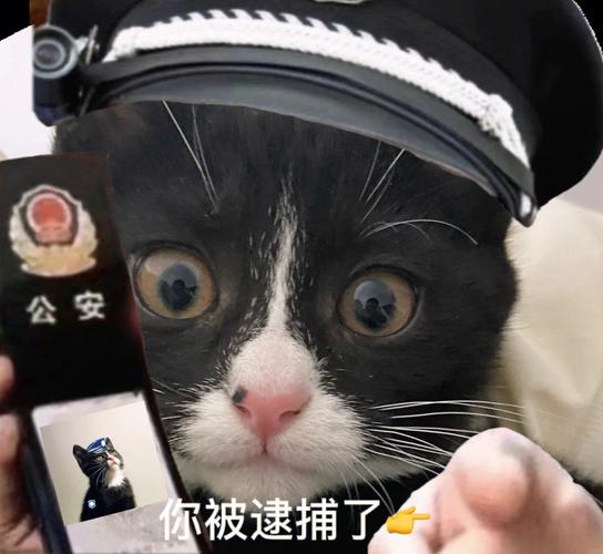 你被逮捕了