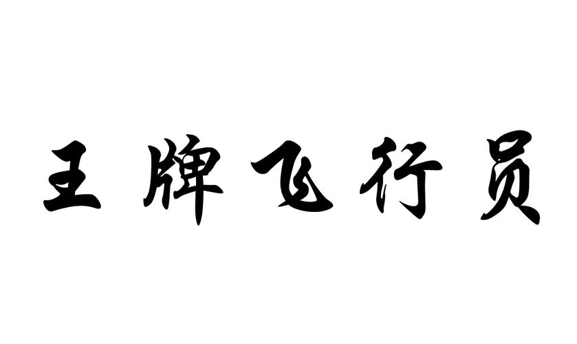 金牌飞行员