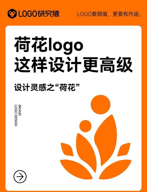 荷花热点