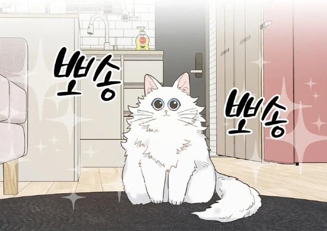 我的专属喵喵韩漫
