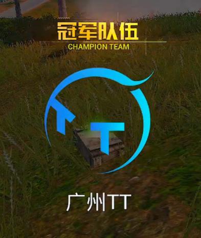 和平精英TT多功