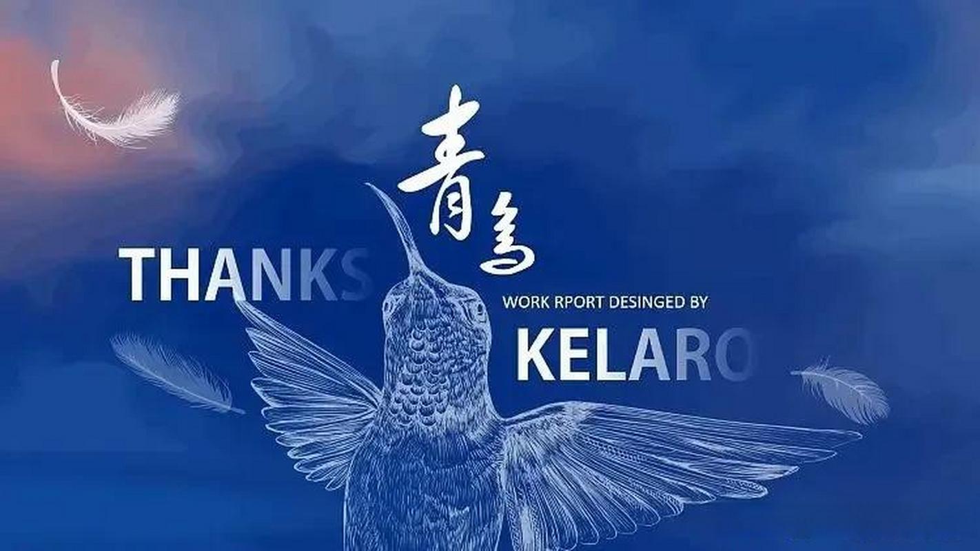 青鸟视频