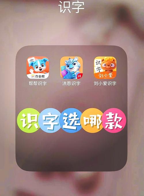 识字大师赚钱版
