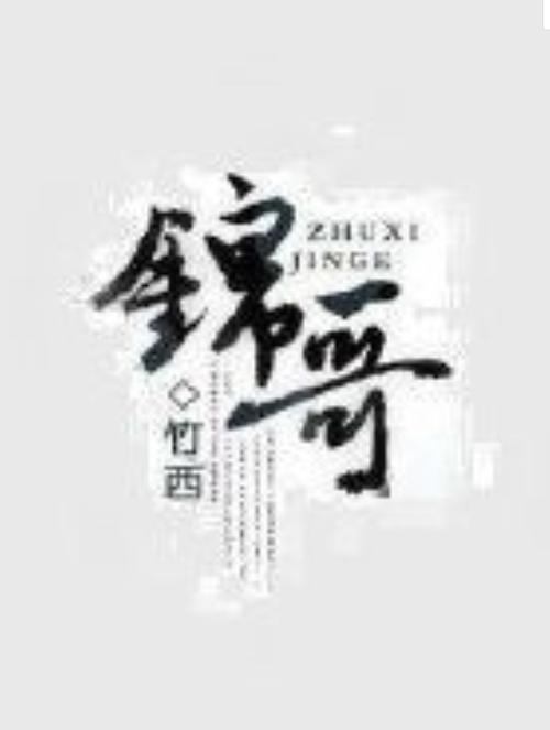 锦哥影视