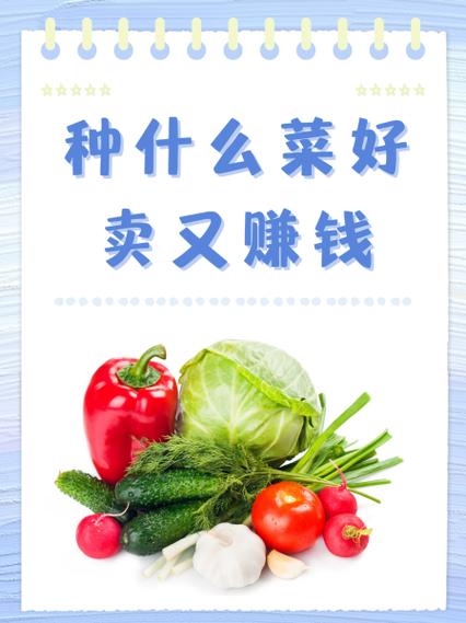 这菜真香赚钱版