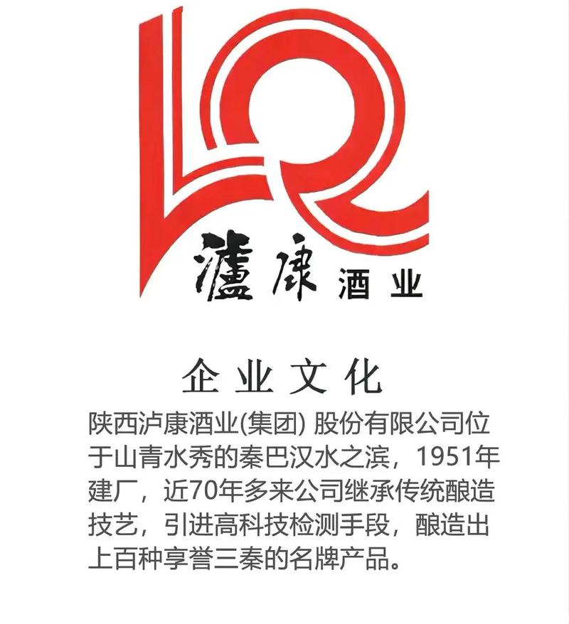 泸康云商
