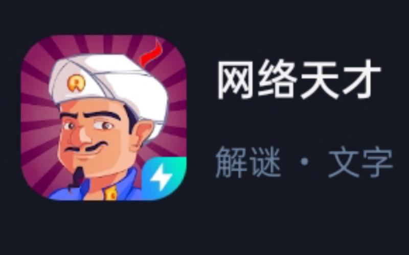 网络天才中文版免