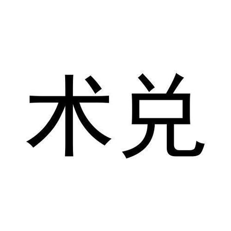 术兑