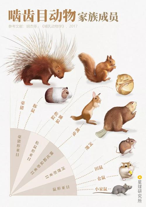 豪猪网转发赚钱缩略图
