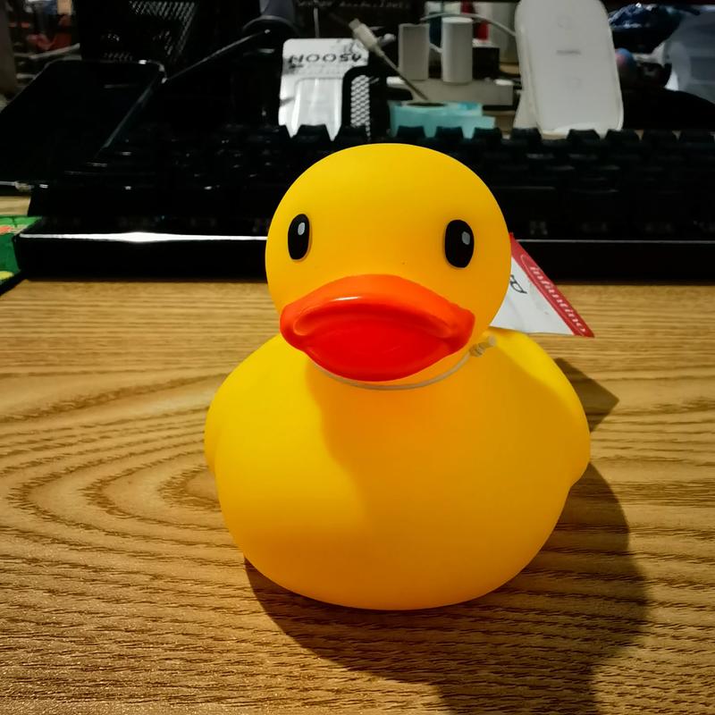 小黄鸭YELLOWDUCK
