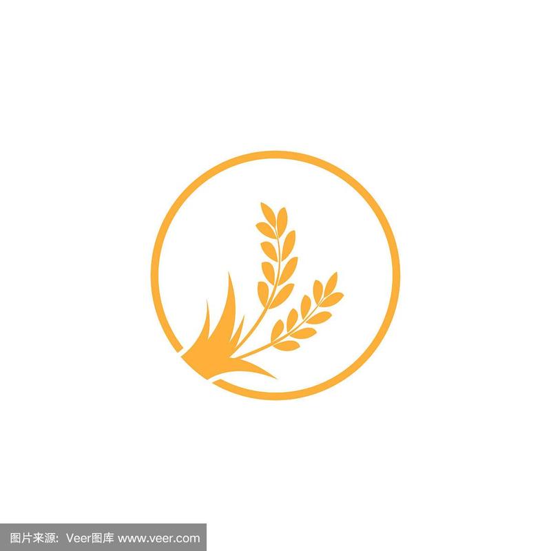 种大麦
