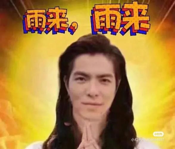 萧敬腾求雨表情包