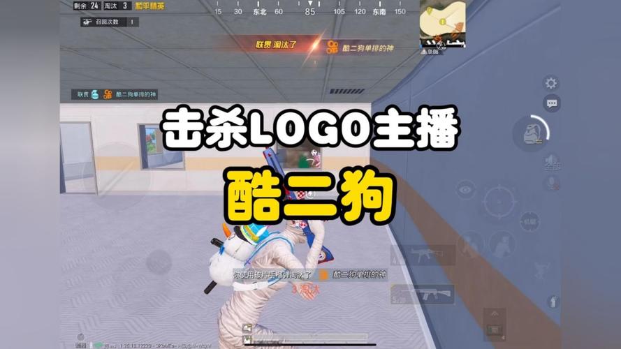 酷二狗和平精英美化包