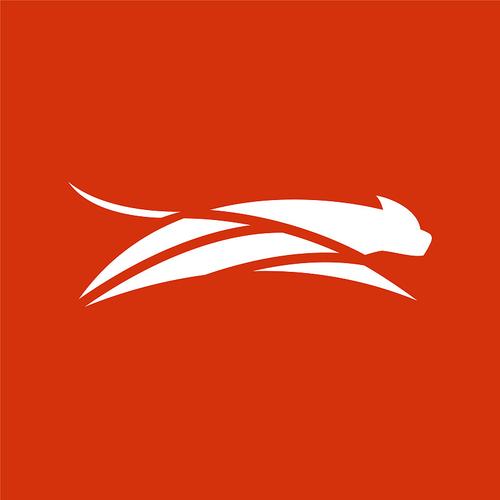 猎豹快玩