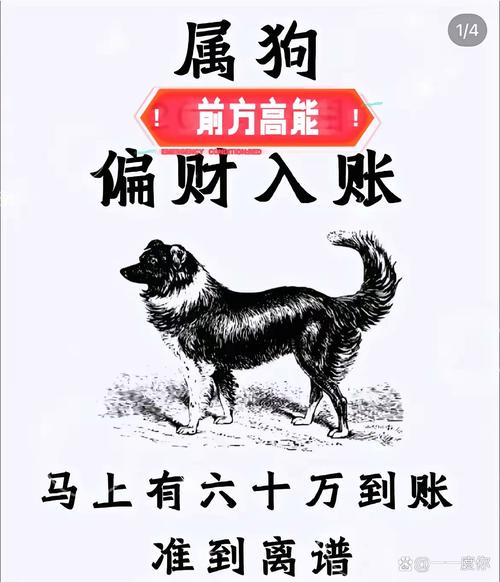 养犬分红赚钱