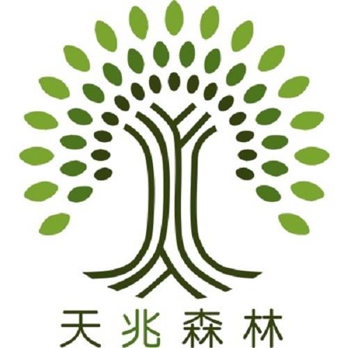 天兆森林投资官网