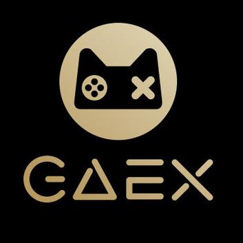 GAEXapp