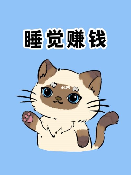 睡觉赚