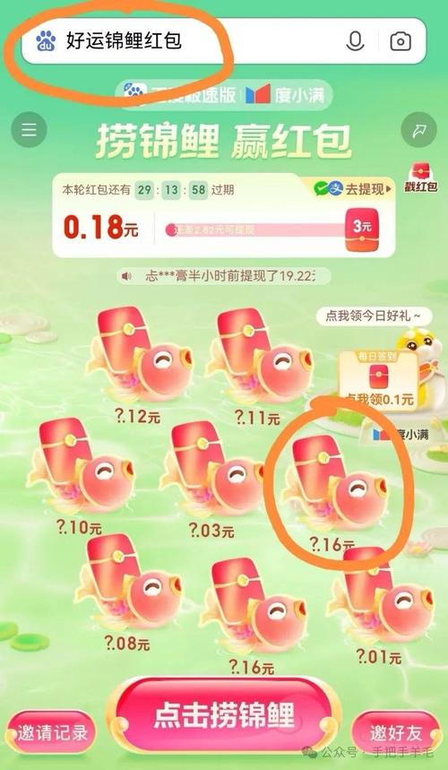 赚钱锦鲤