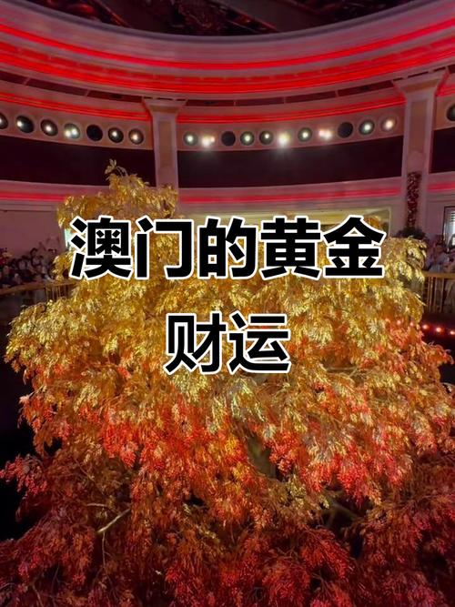 澳门黄金娱乐