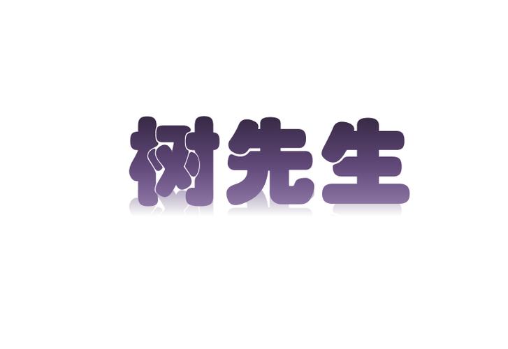 树先生贷款