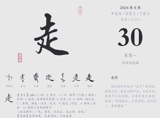 每日一走