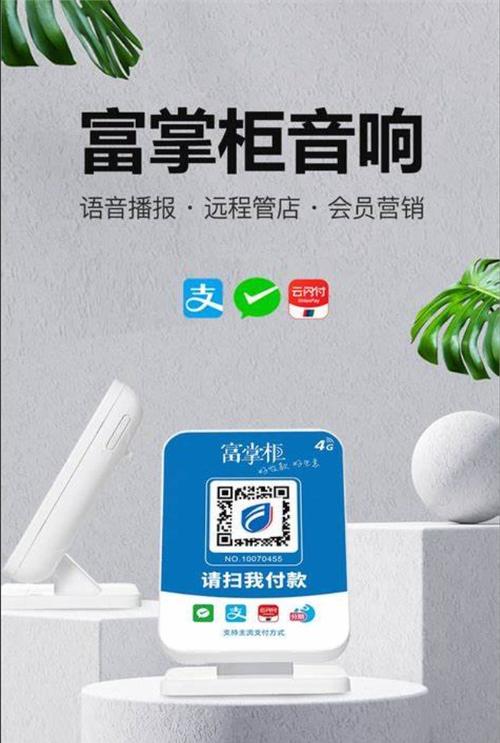 抖掌柜(抖音推广赚钱)