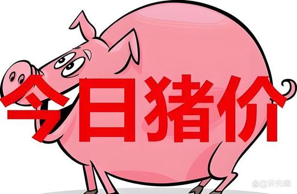 猪小帮赚钱app