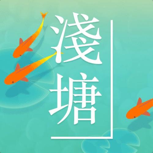 浅塘