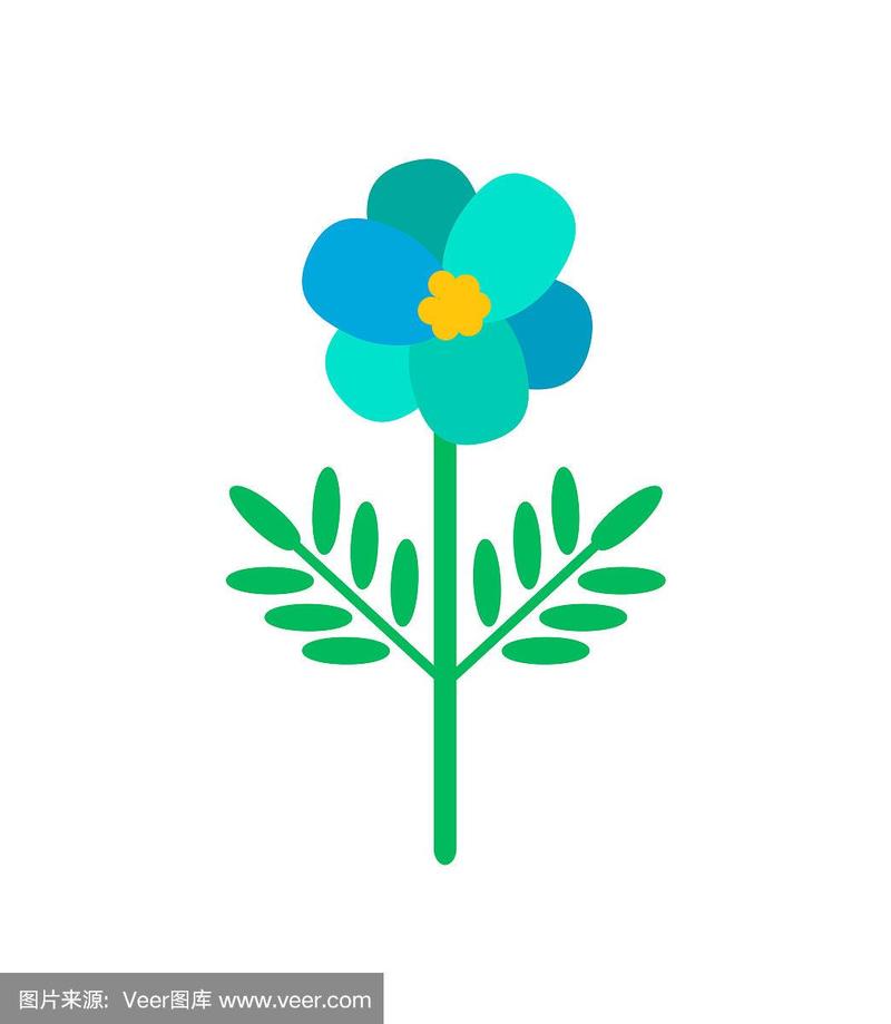 报春花赚钱