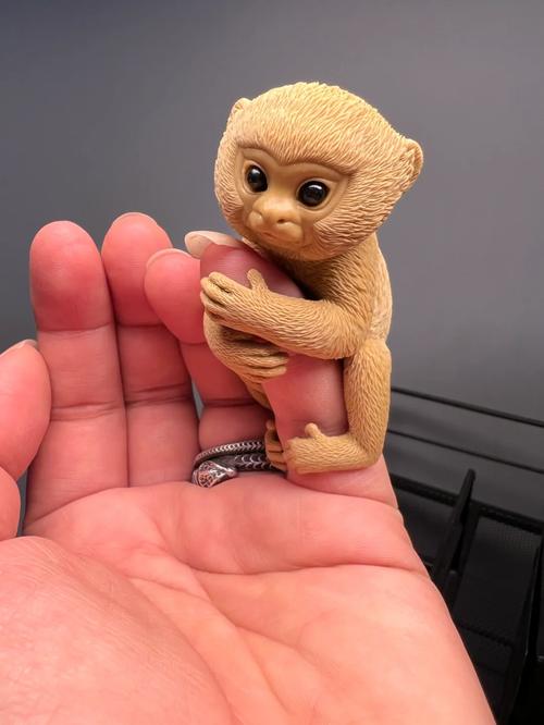 拇指猴