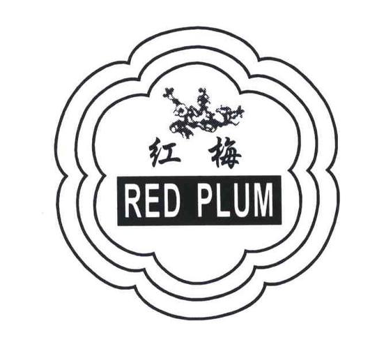 红梅资讯