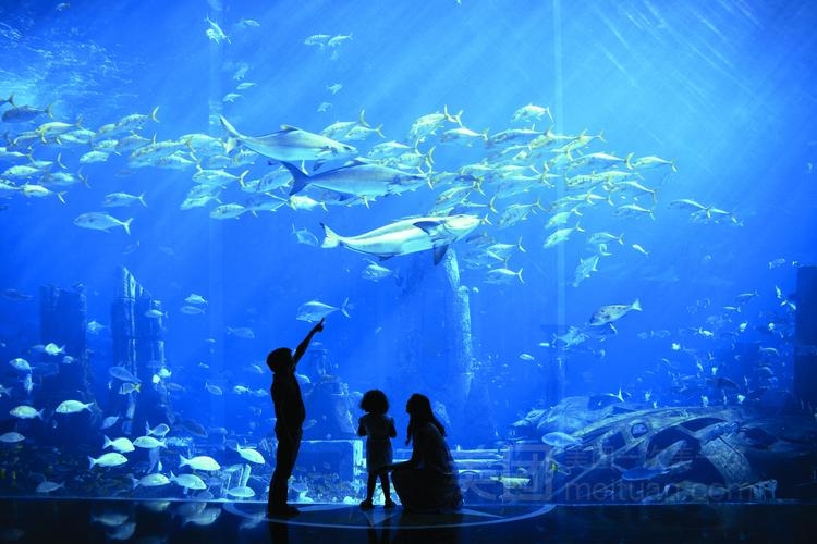 爆赚水族馆2极速版