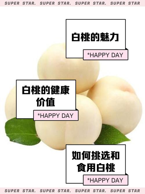 白桃短视频官方版