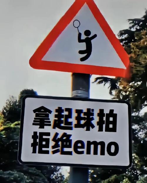别碰我的球