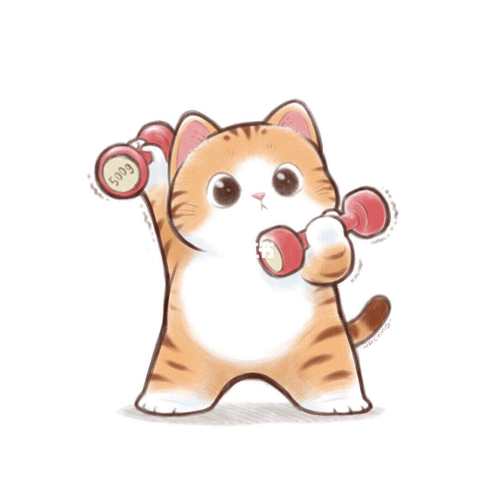 疯狂健身猫2022