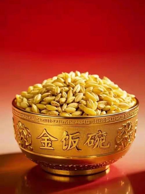 金饭碗天天分红版