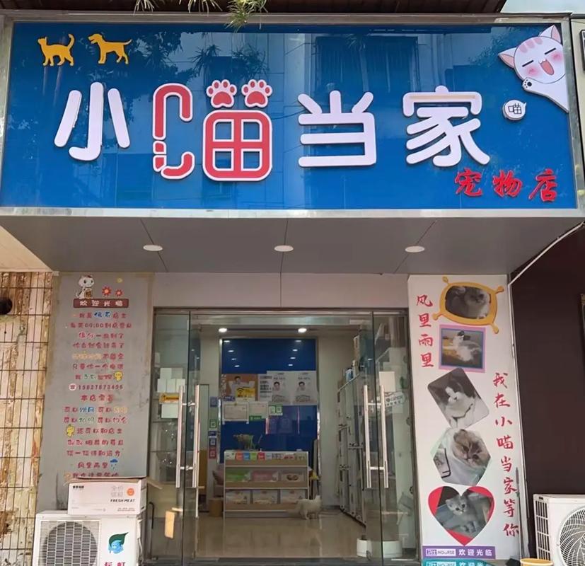 小喵当家