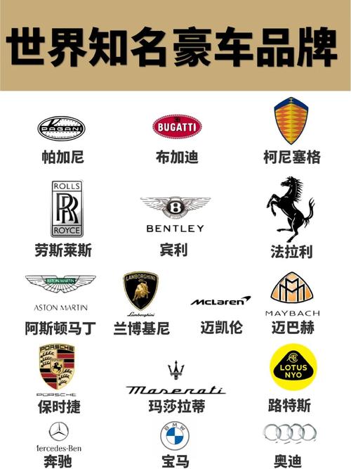 豪车大亨