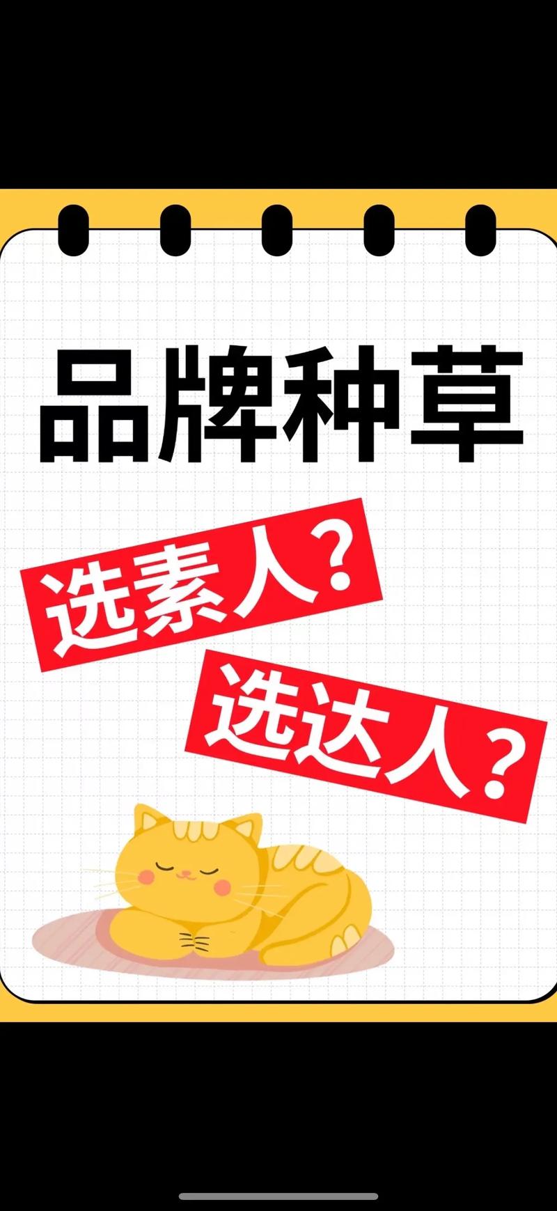 抖达人种草手机版