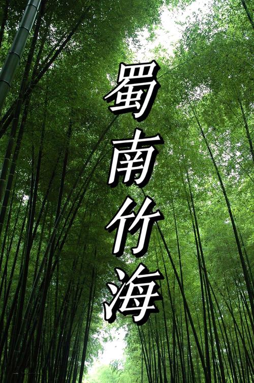 竹海小说官网版