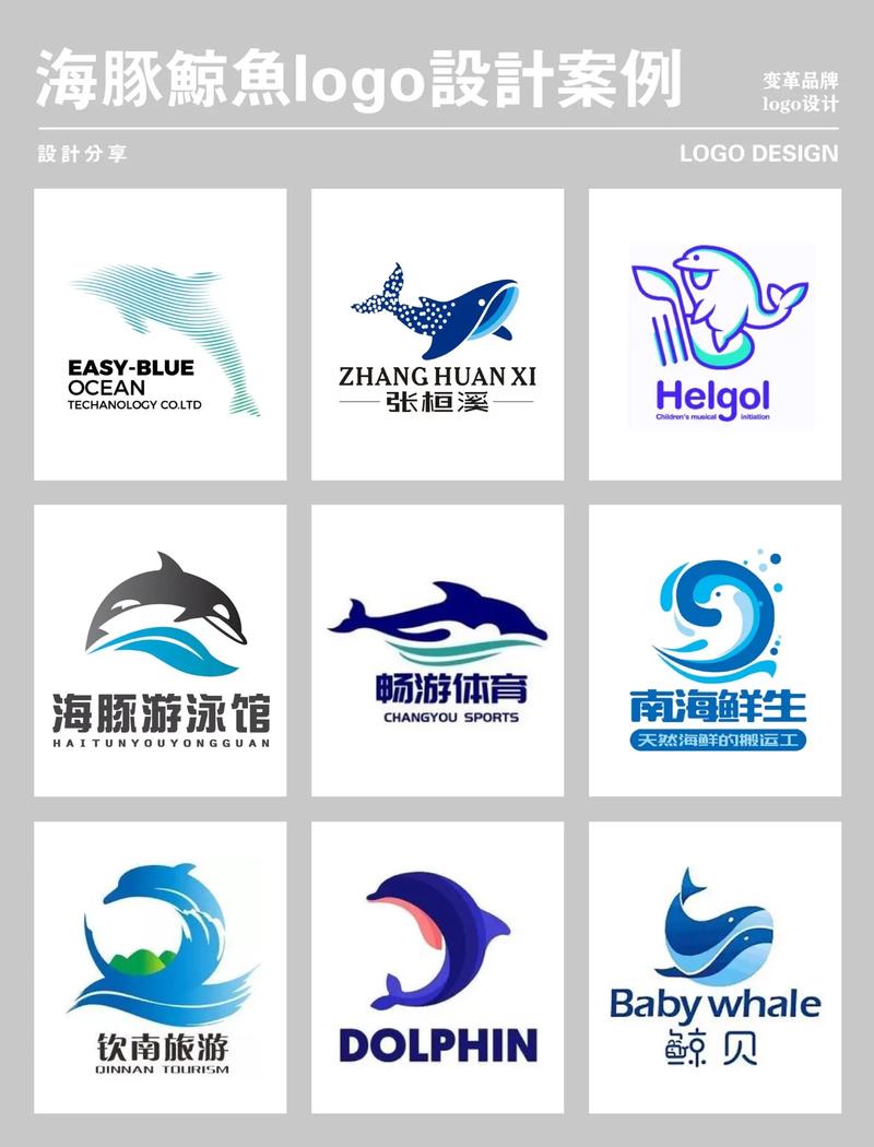 海豚网