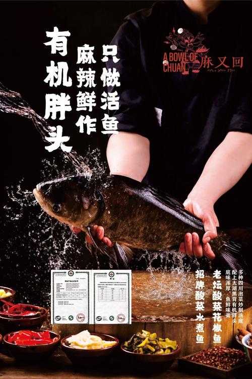 大胖头鱼赚钱手机