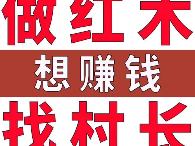共享村长赚钱