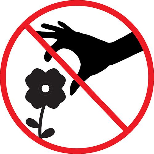 花花不要惹截图