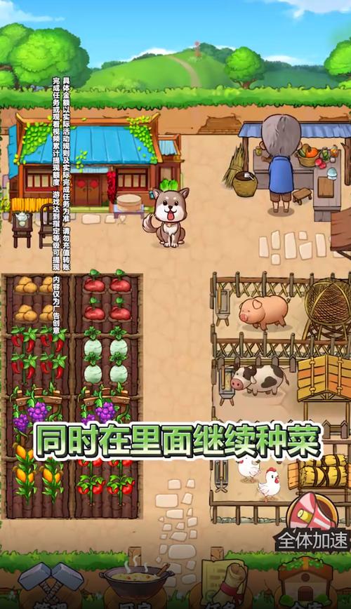 我家小农院正版