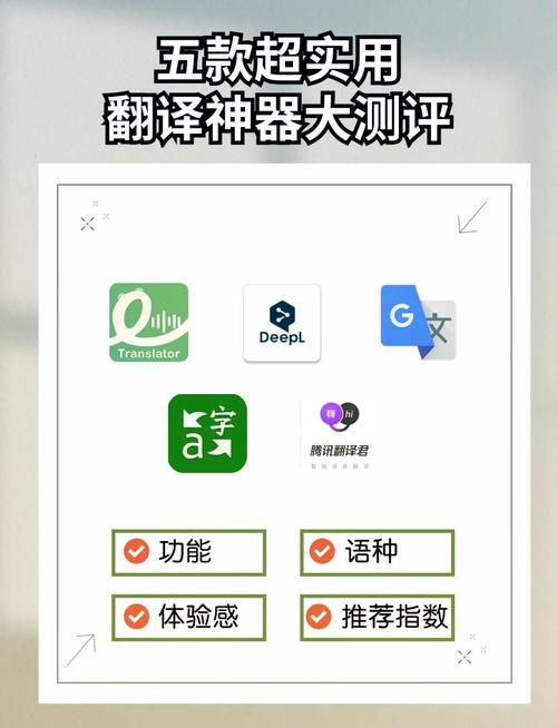 与熊论道翻译器在