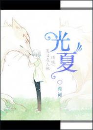 夏光小说免费版