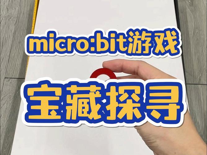 一起来寻宝